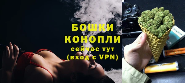 дурь Краснослободск