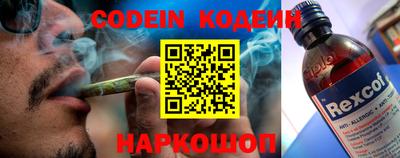 амф Камышлов
