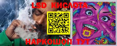 крисы Абакан