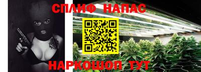 СК Кандалакша