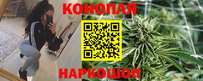 крисы Абакан