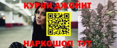apvp Канаш