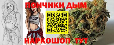 амф Камышлов