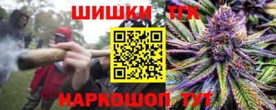 крисы Абакан