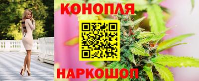 СК Кандалакша