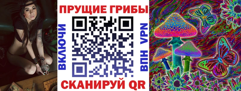 даркнет сайт  Лесной  Псилоцибиновые грибы Psilocybe 