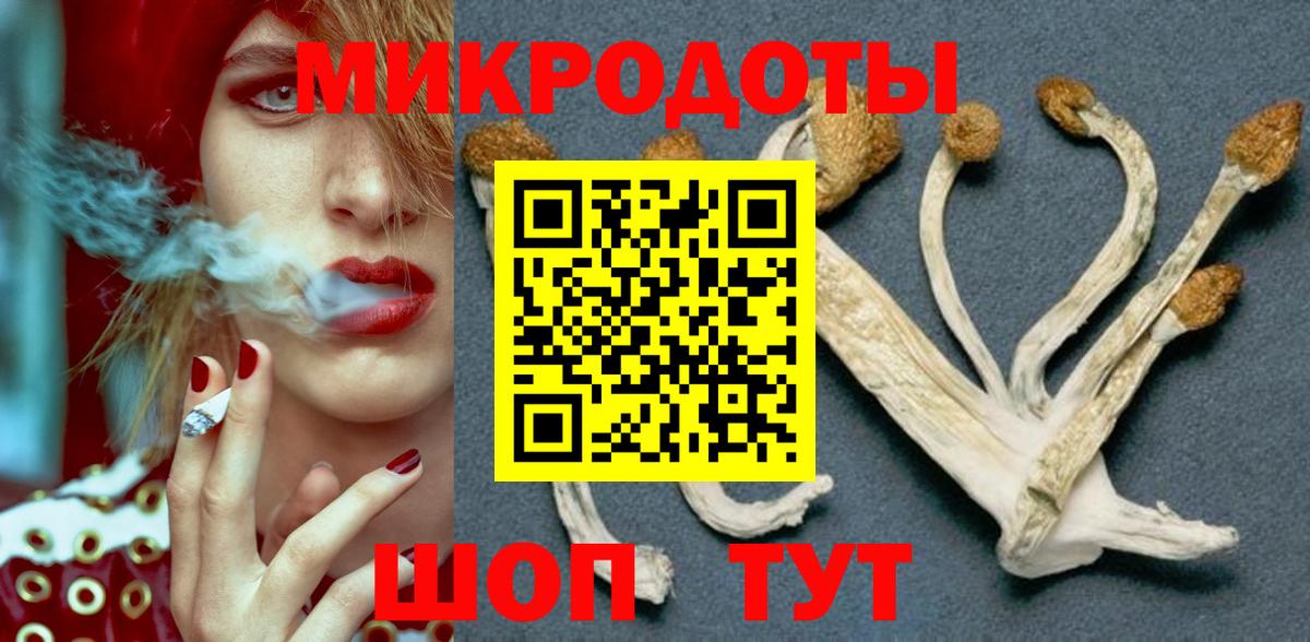 Галлюциногенные грибы Psilocybine cubensis Лесной