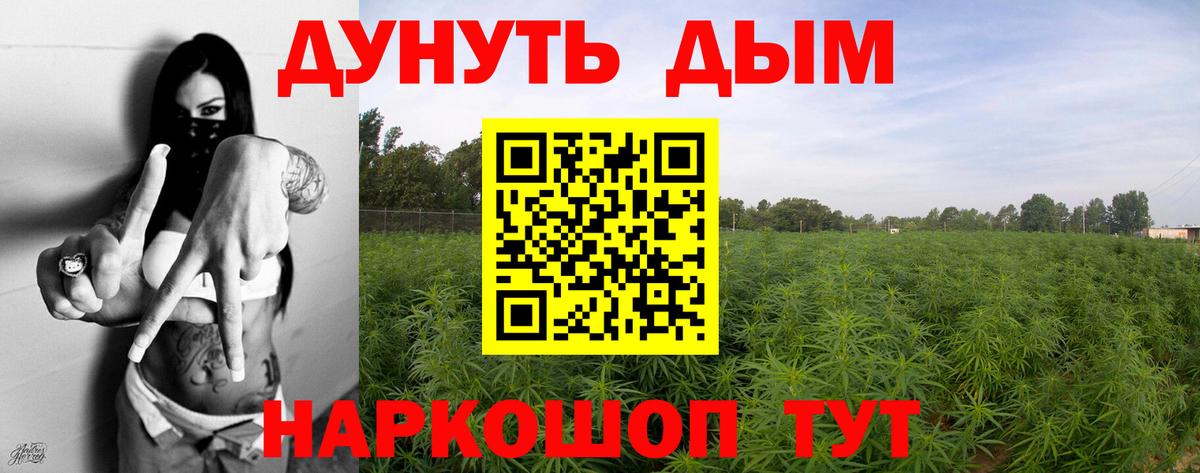 Лесной  Канабис конопля  Конопля THC 21%  Канабис план  Вход с VPN 